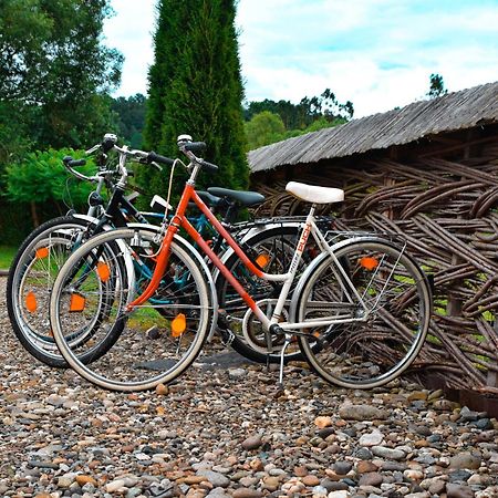 Acasa In Maramures Feresti Exterior foto