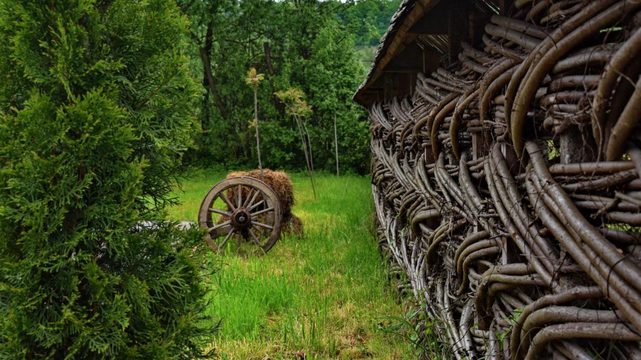 Acasa In Maramures Feresti Exterior foto